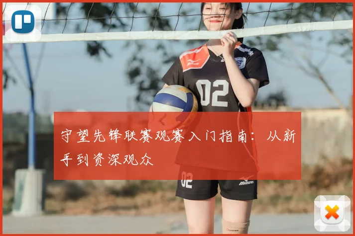 守望先锋联赛观赛入门指南:从新手到资深观众