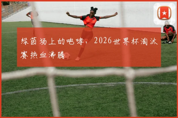 绿茵场上的咆哮，2026世界杯淘汰赛热血沸腾