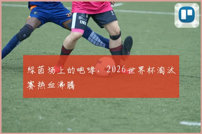 绿茵场上的咆哮,2026世界杯淘汰赛热血沸腾