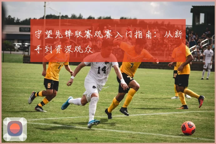 守望先锋联赛观赛入门指南：从新手到资深观众